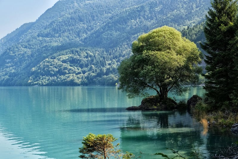 Travel Discoveries